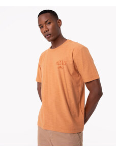 C&A camiseta de algodão flamê índia manga curta laranja