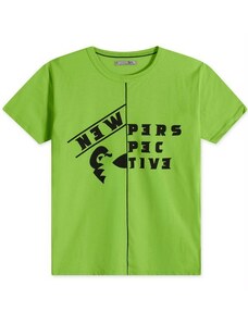 Tigor Camiseta Manga Curta Masculina Infantil Verde