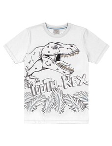 Rovi Kids Camiseta Infantil Dinossauro Branco