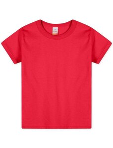 Camiseta Infantil Menino Manga Curta Aromatica Marisol Vermelho