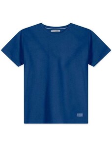 Tigor T Tigre Camiseta Infantil Menino Manga Curta Tigor Azul
