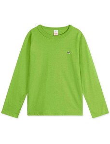 Camiseta Infantil Menino Manga Longa Aromatica Marisol Verde