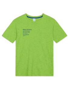 Hapier Camiseta Manga Curta Juvenil Masculina Verde