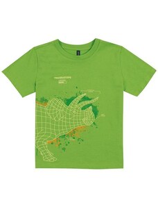 Cativa Kids Camiseta Estampa Dino Frente e Costas Verde