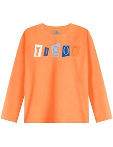 Tigor Camiseta Manga Longa Masculina Infantil Laranja