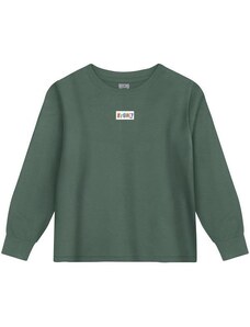 Tigor Camiseta Manga Longa Masculina Infantil Verde