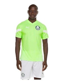 Camisa Puma Palmeiras Treino 2023/24 Masculina Verde