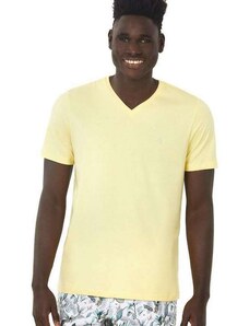 Camiseta Masculina Bordado Cinza Polo Wear Amarelo Médio Amarelo Médio