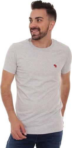 camiseta abercrombie & fitch masculina