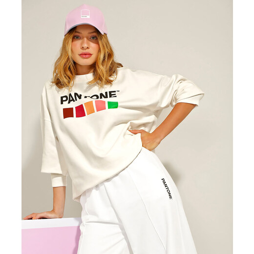 pantone moletom com capuz