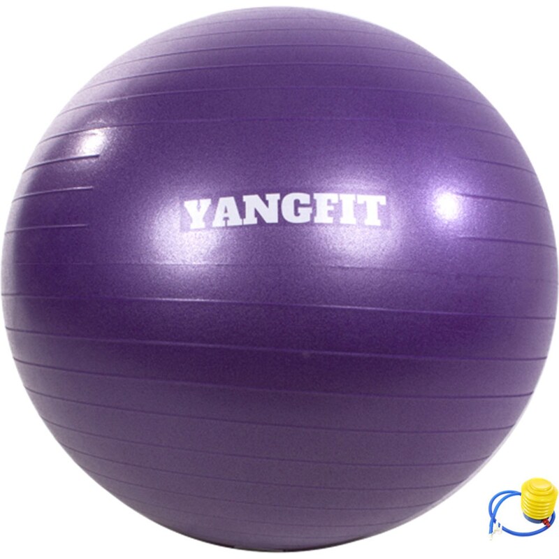 Bola Pilates Suíça Exercícios Yoga Yangfit 65cm Com Bomba 