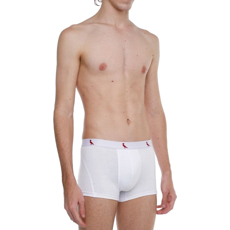 TOOT - Men's Premium Underwear