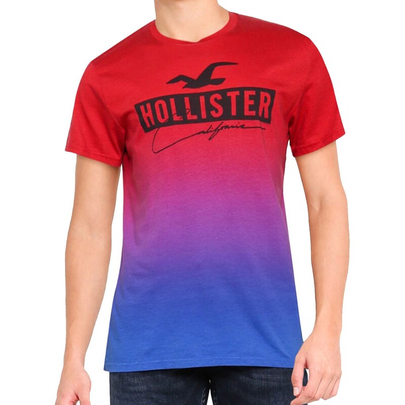 Tops de verão estético masculino, camiseta nova da Hollister, camiseta  fruto do tear - AliExpress