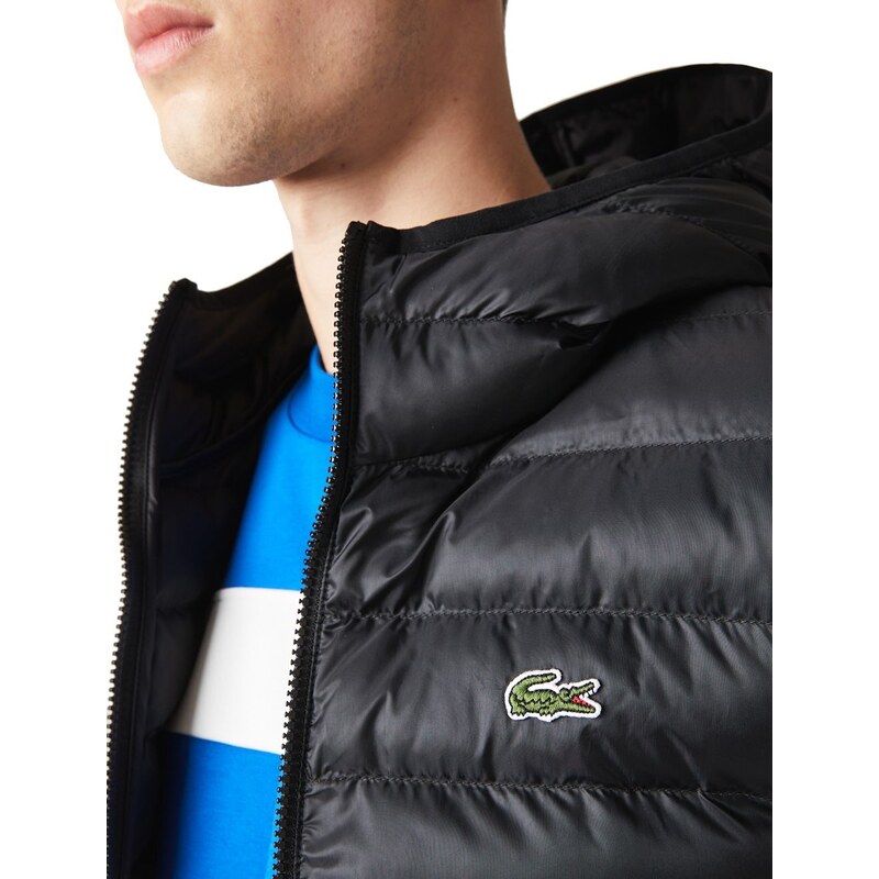 Jaqueta puffer best sale masculina lacoste