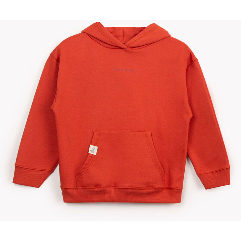 C&A blusão de moletom infantil com capuz limited edition laranja escuro