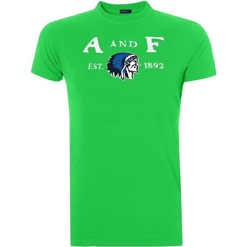 Camiseta Abercrombie Muscle A and F Indian Verde 