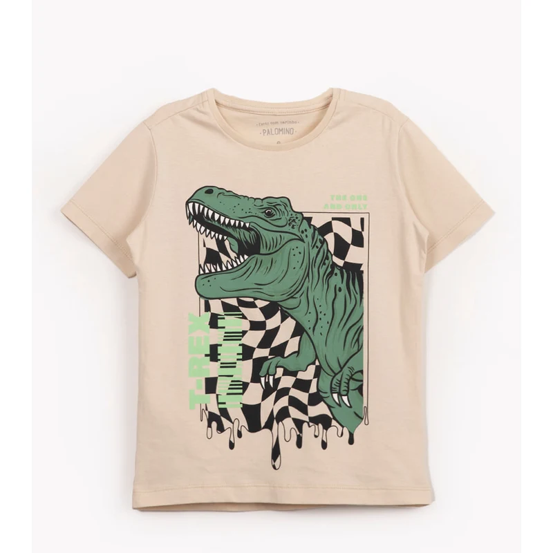 Dinossauro De Camisa