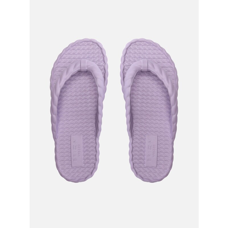 Chinelo de Dedo Roxo Marrocos Brizza Arezzo GLAMI .br