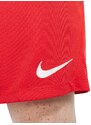 Short Nike Masculino Sport Dri-FIT Park III Vermelho